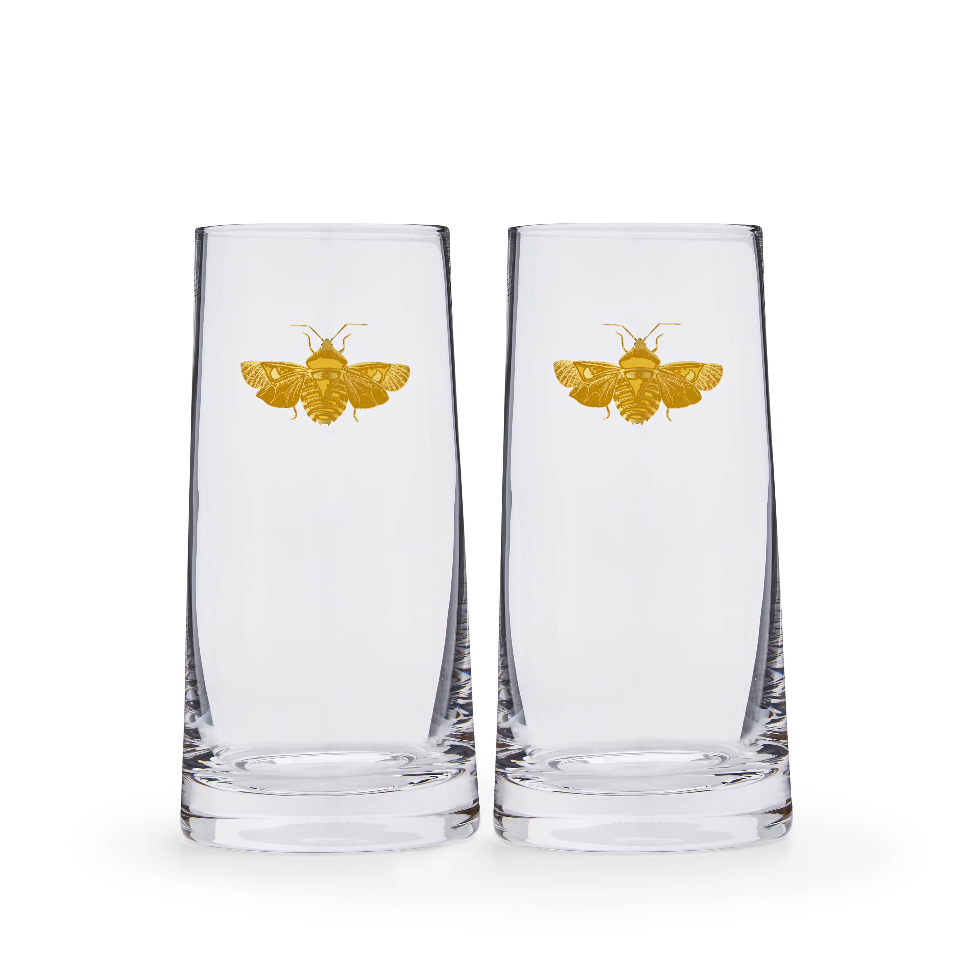 Creatures of Curiosity  Highball Glasses Set of 2 image number null